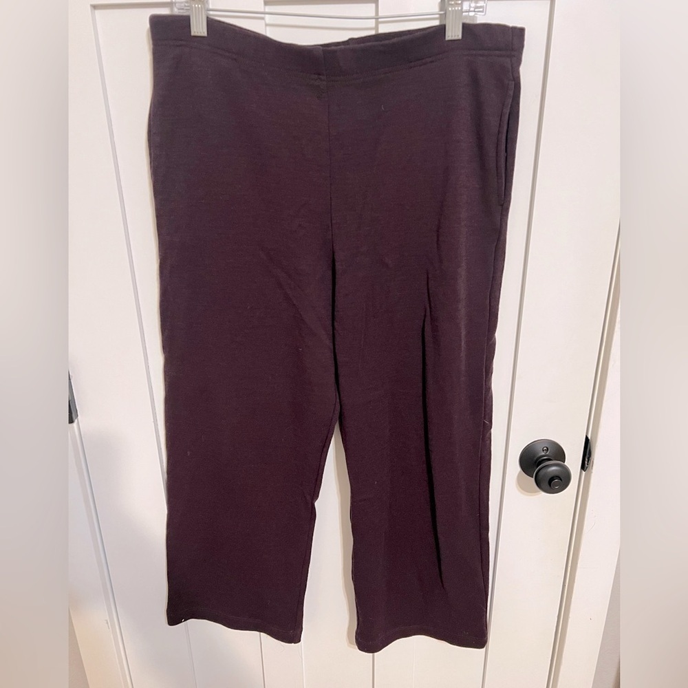 Bryn Walker Wide Leg 100% Wool Pull On Pants Elastic Waist Burgundy Brown Color